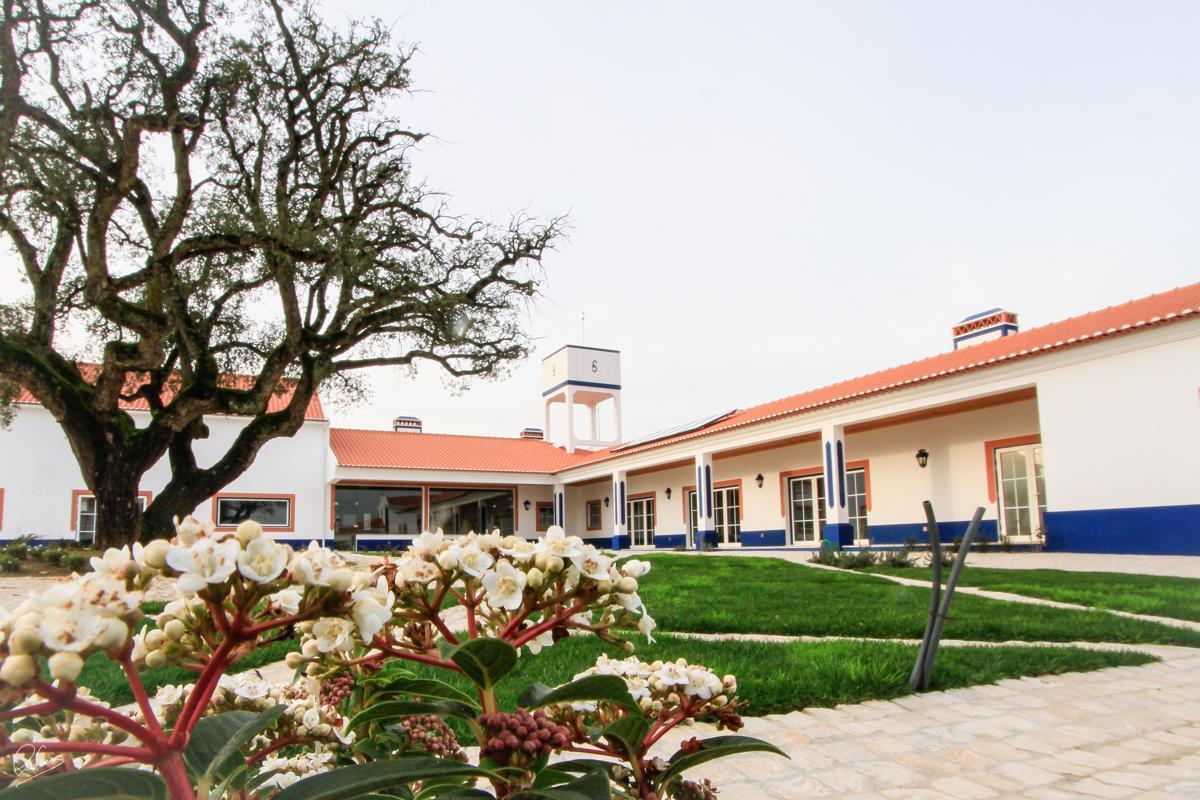アレンケル Quinta Da Torre - Casas De Campo Bed & Breakfast エクステリア 写真
